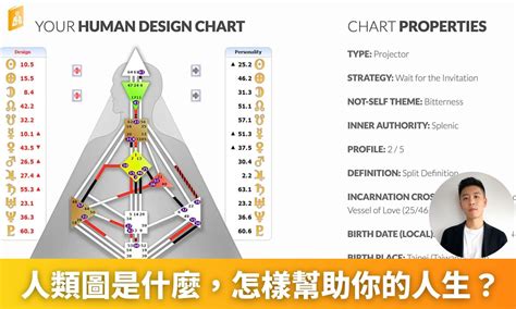 人形圖|人類圖是什麼？萬人分析師親自解釋你為什麼你需要。